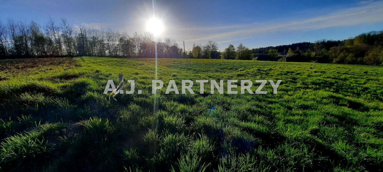 Działka Grabie. Zdjęcie 3