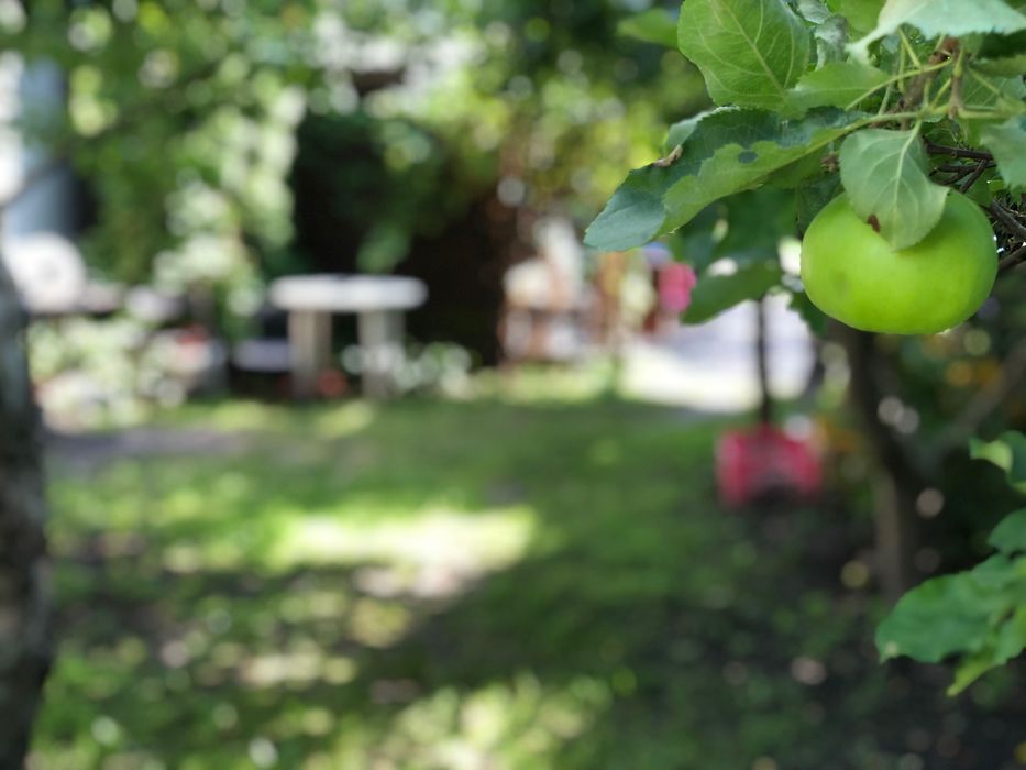 Mieszkanie 4-pokojowe Trzcianka, ul. gen. Henryka Dąbrowskiego. Zdjęcie 6