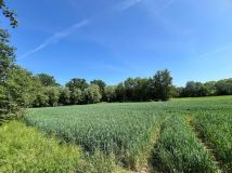 Działka siedliskowa Wiry. Zdjęcie 4