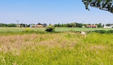 Działka budowlana Błonie