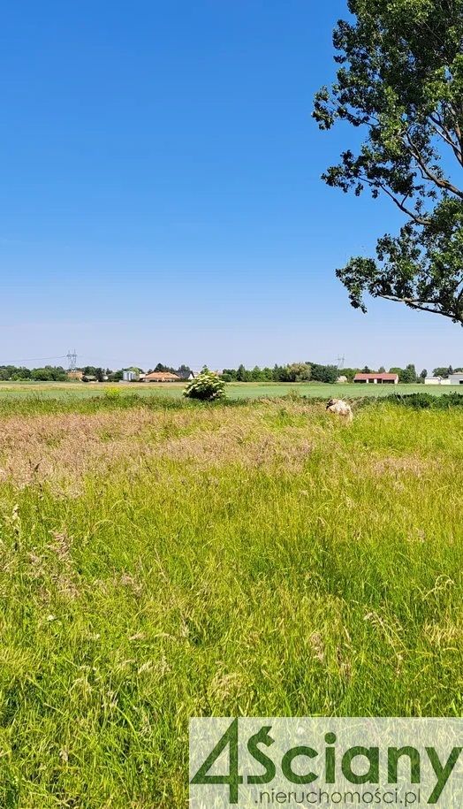 Działka budowlana Błonie