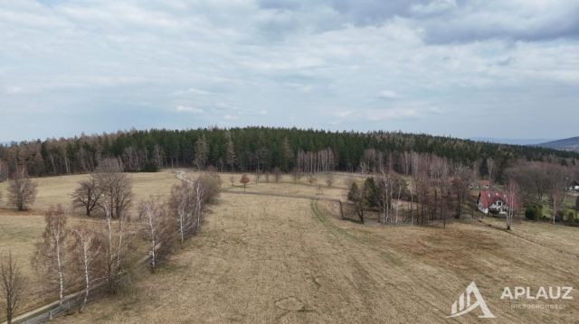 Działka rolna Antoniów. Zdjęcie 2