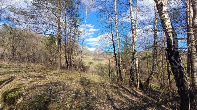 Działka rolna Maków Podhalański. Zdjęcie 1