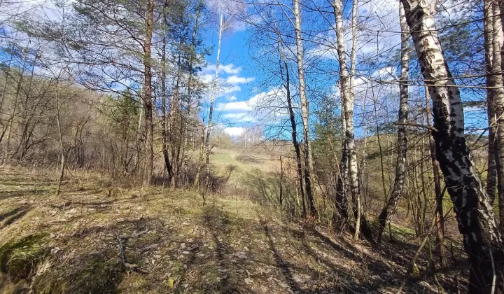 Działka rolna Maków Podhalański