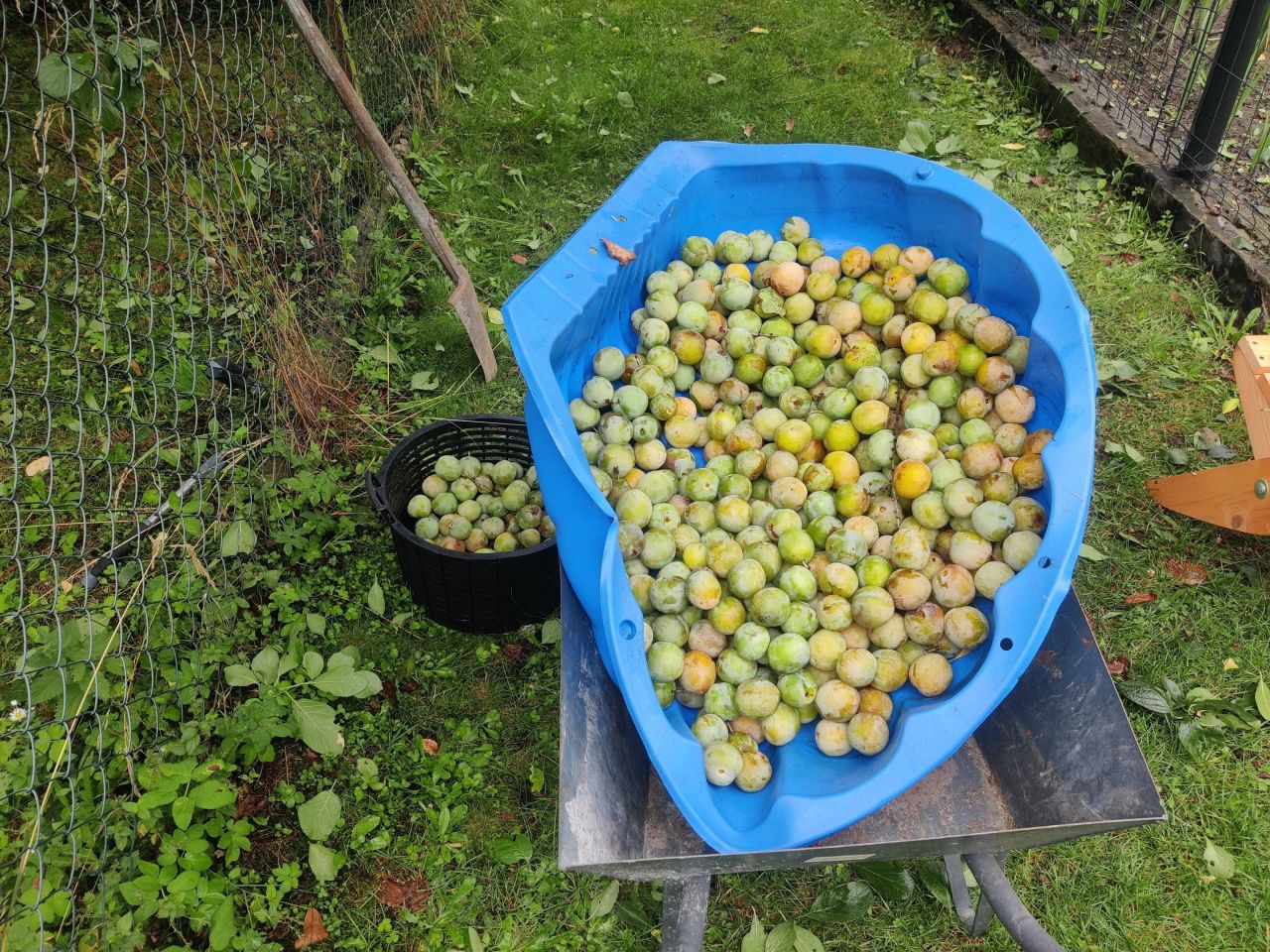 Działka rod Czeladź Piaski, ul. Józefa Poniatowskiego. Zdjęcie 8