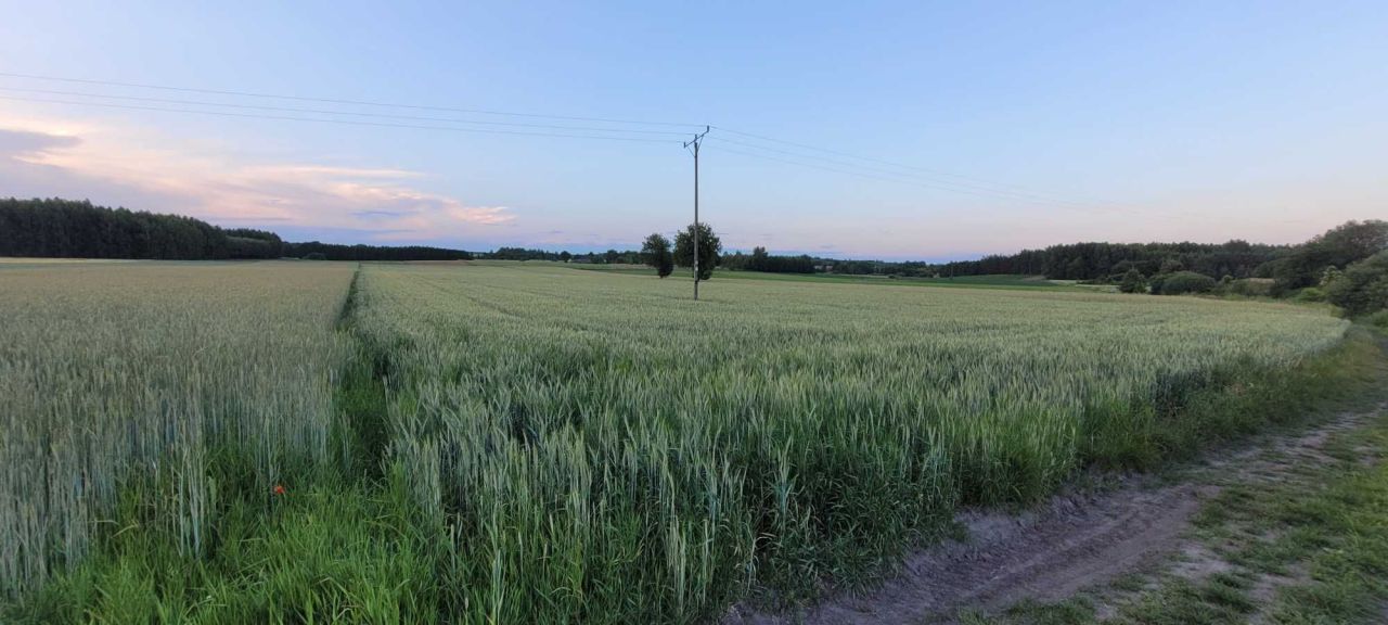 Działka rolno-budowlana Krzyżanowice. Zdjęcie 6