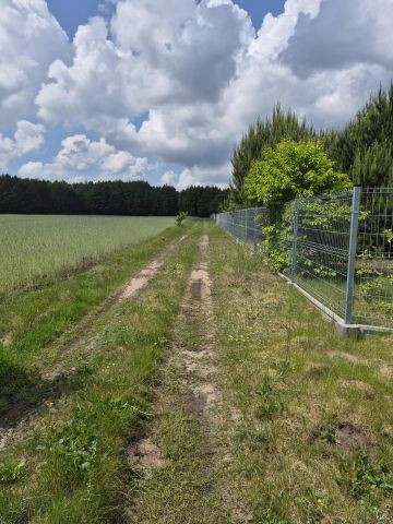 Działka inna Jurgi. Zdjęcie 1