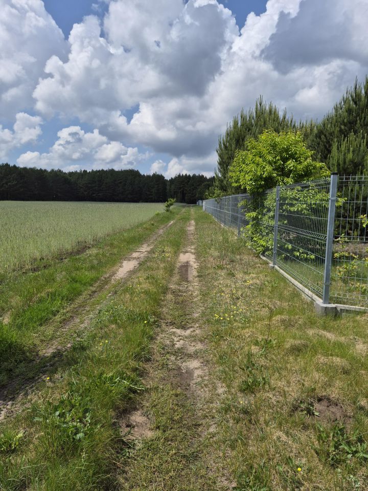 Działka inna Jurgi. Zdjęcie 1