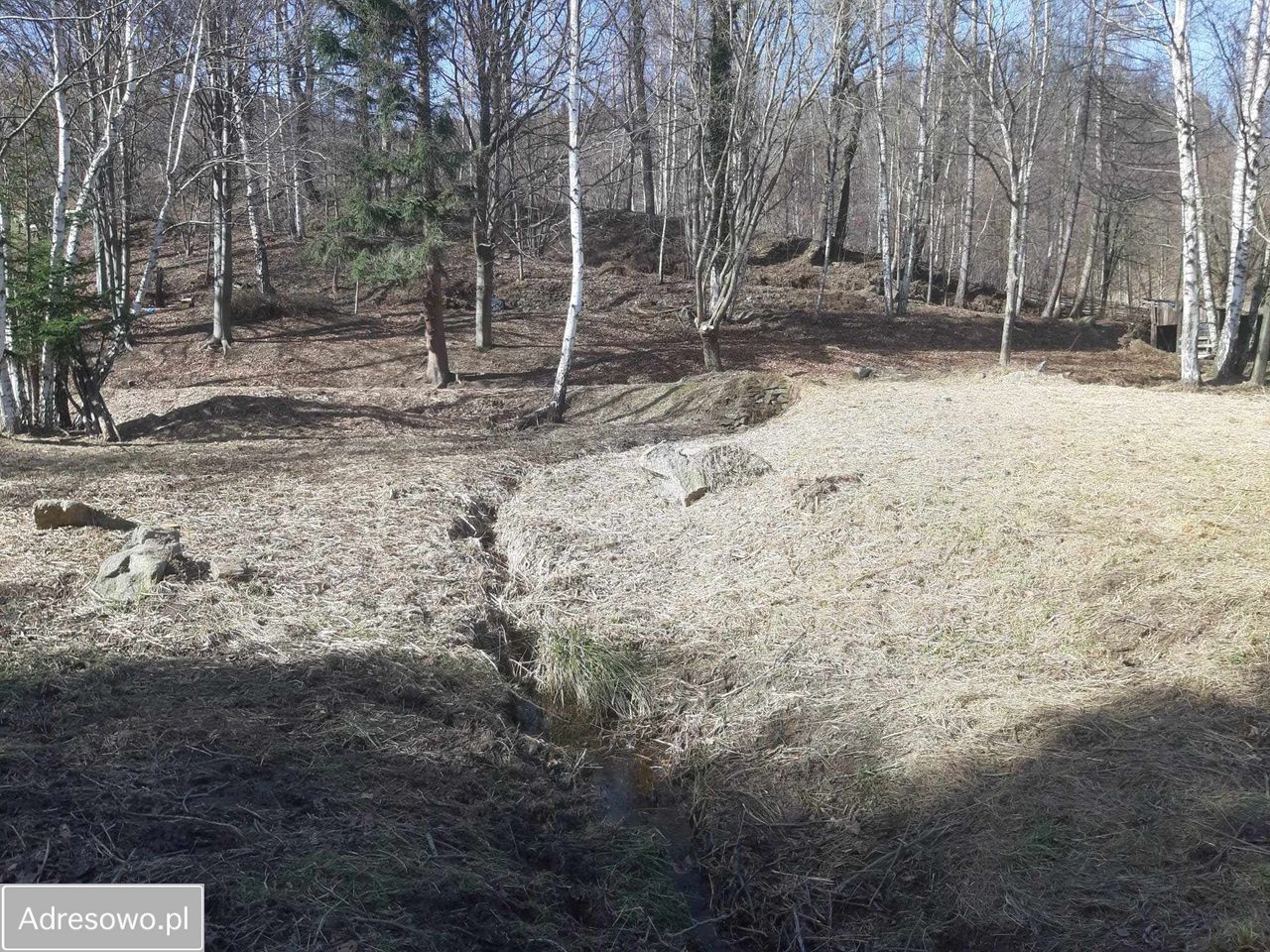 Działka budowlana Pieszyce Lasocin. Zdjęcie 6