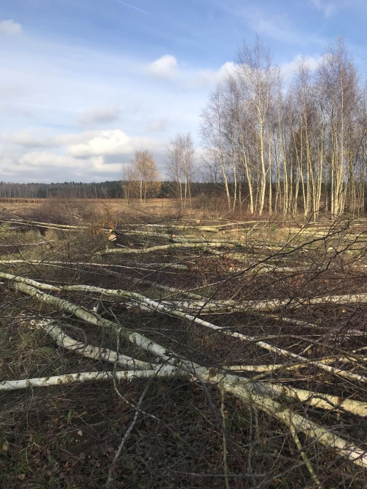 Działka budowlana Pietronki. Zdjęcie 6