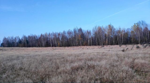 Działka budowlana Grodzisko. Zdjęcie 1