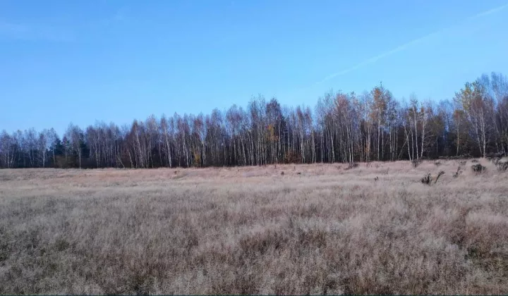 Działka budowlana Grodzisko