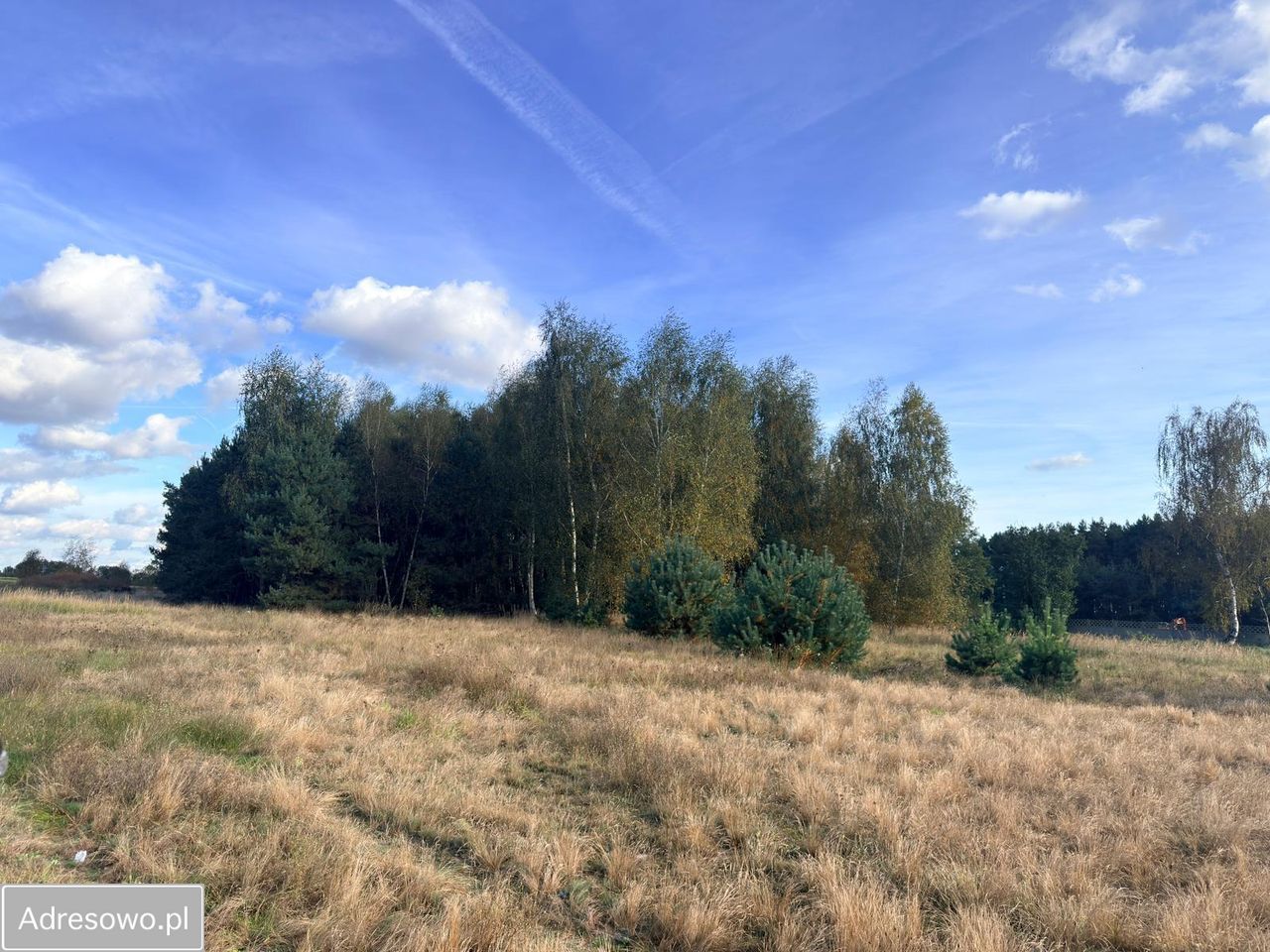 Działka rolna Kębłowo. Zdjęcie 11