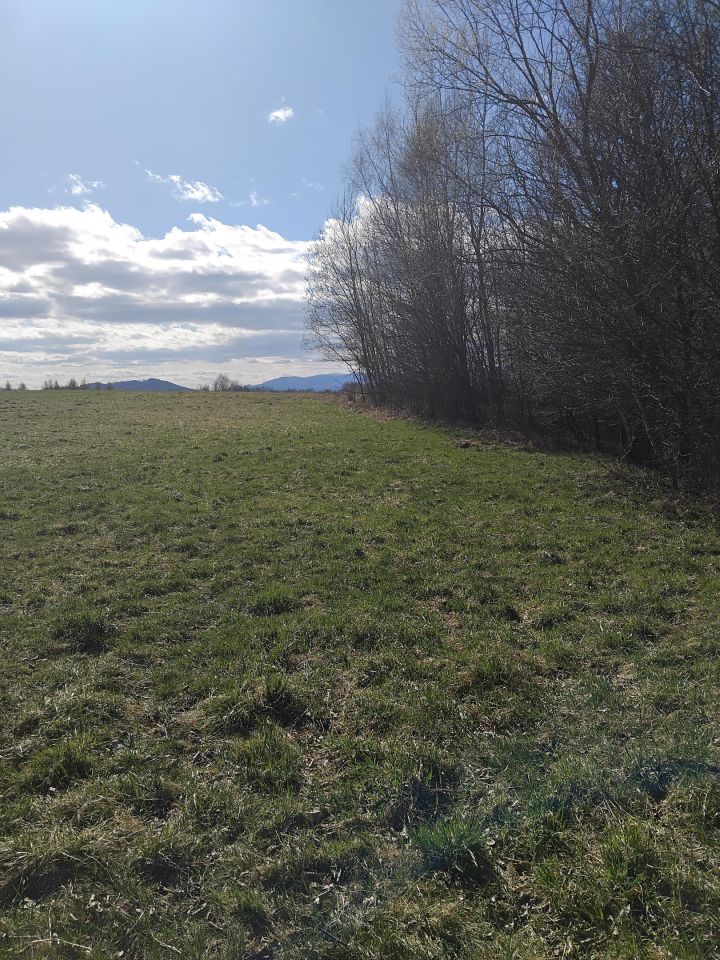 Działka rolna Gilowice Stary Dwór, ul. Działy Dworskie. Zdjęcie 4