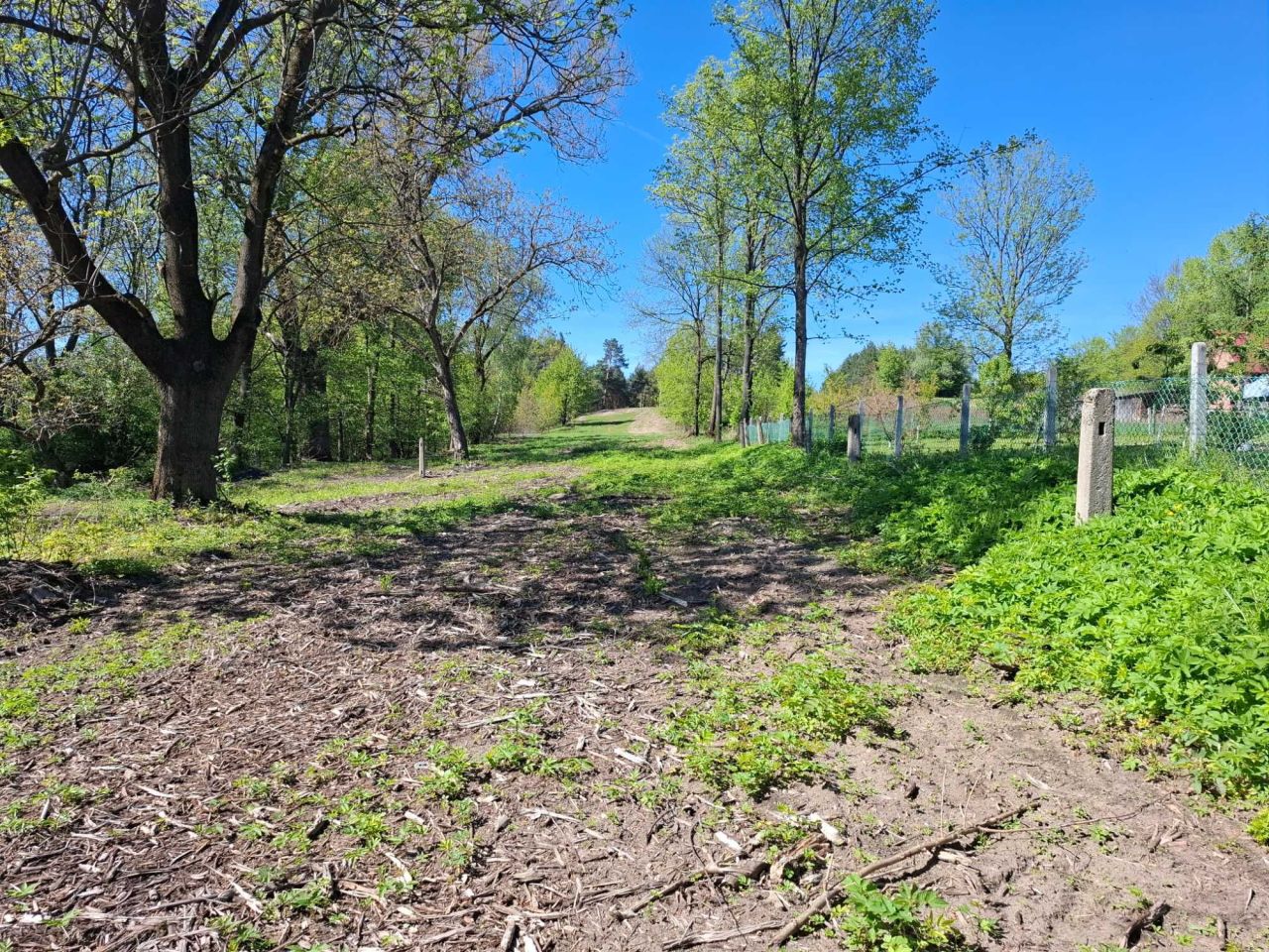 Działka siedliskowa Kustrawa. Zdjęcie 3
