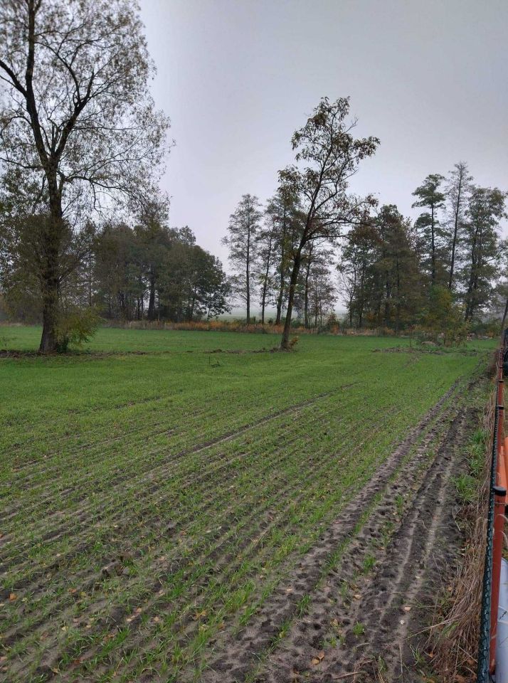 Działka budowlana Wilczków. Zdjęcie 6