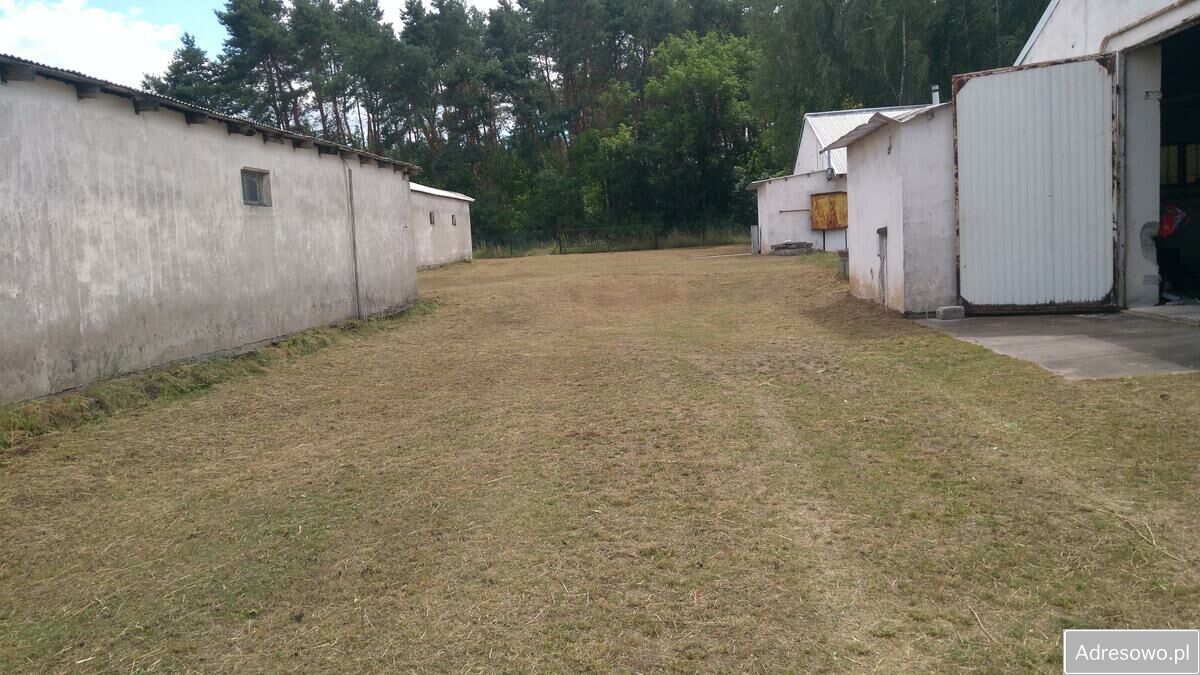 Działka inwestycyjna Skwierzyna. Zdjęcie 8