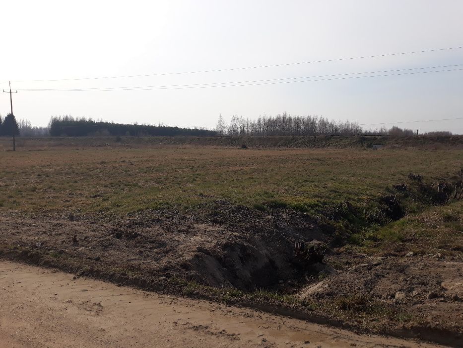 Działka rolno-budowlana Dubiny, ul. Torowa. Zdjęcie 4