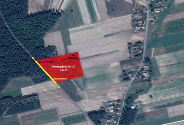 Działka siedliskowa Grabów Rycki. Zdjęcie 1