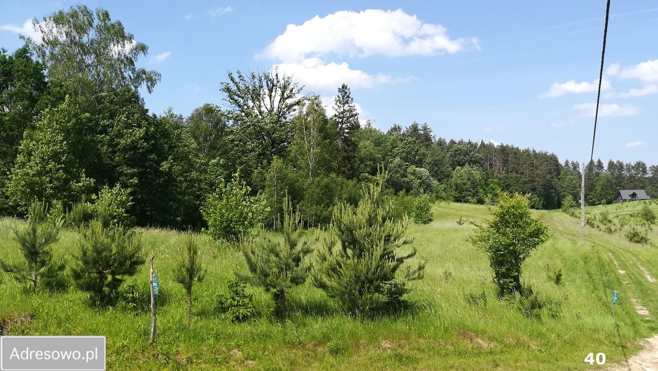 Działka budowlana Kaborno. Zdjęcie 14