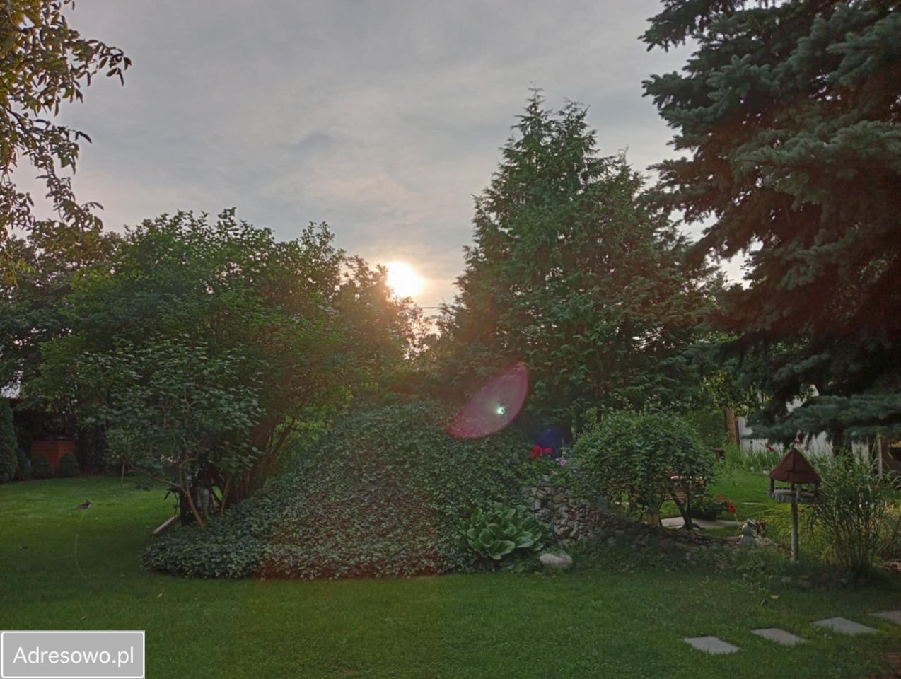 Działka budowlana Dziekanów Leśny. Zdjęcie 8