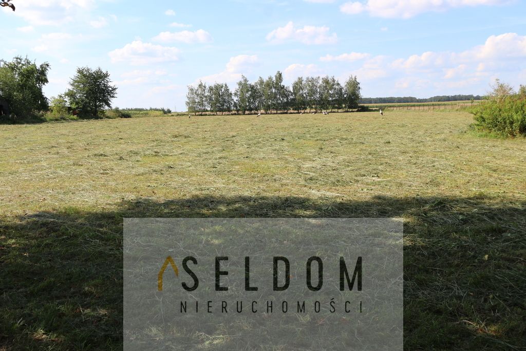 dom wolnostojący, 7 pokoi Chojny. Zdjęcie 17