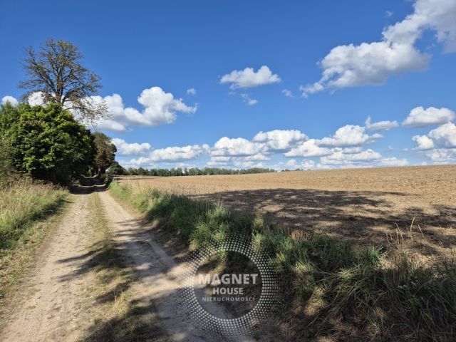 Działka rolna Rutwica. Zdjęcie 14