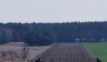 Działka rolno-budowlana Barkowice, Widok