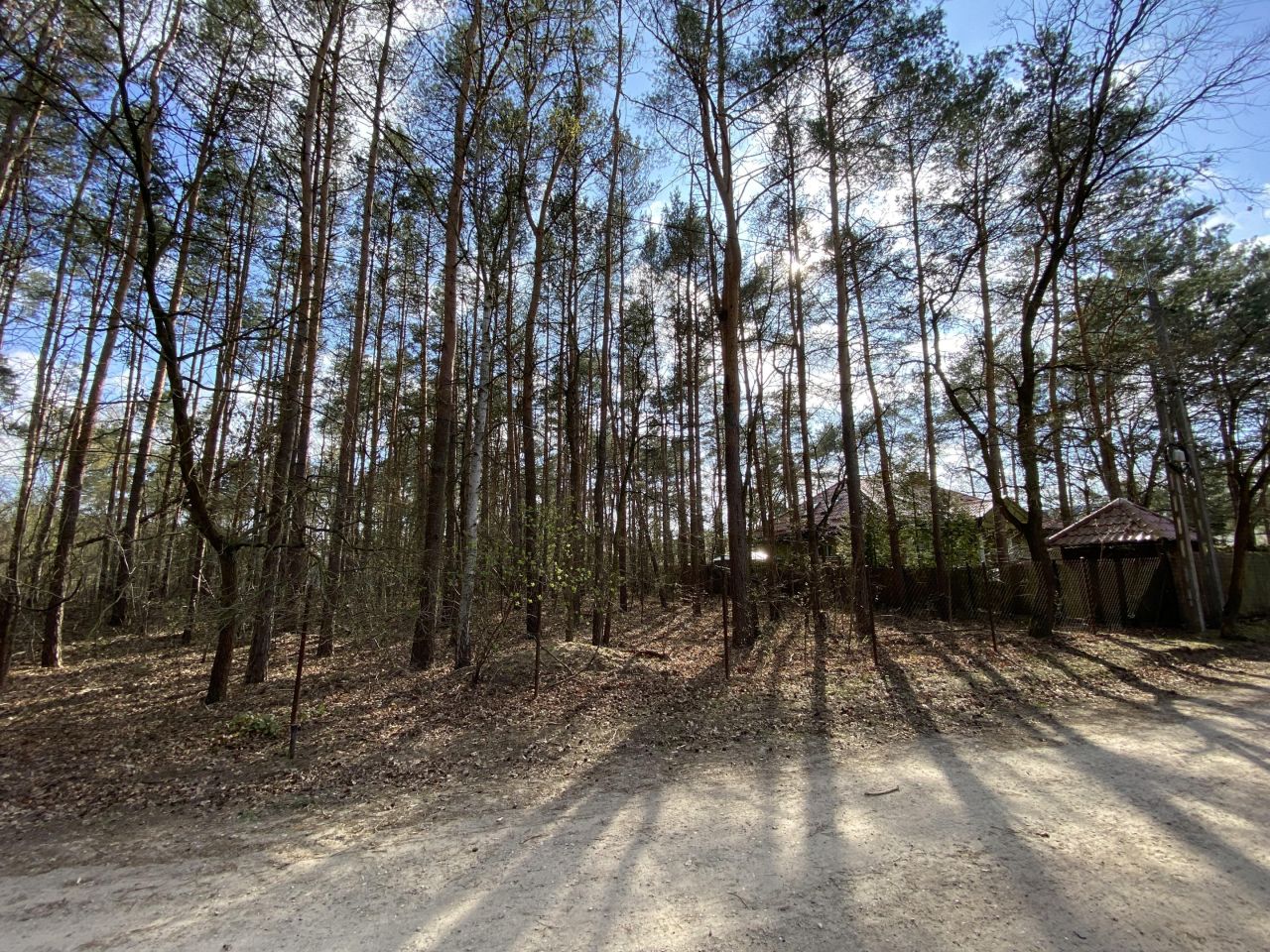 Działka leśna Legionowo, ul. Dębowa. Zdjęcie 3