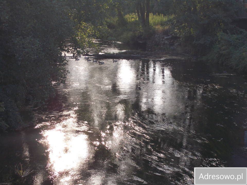 Działka siedliskowa Sapałówka. Zdjęcie 10
