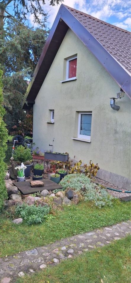 Działka rod Wudzyn. Zdjęcie 3