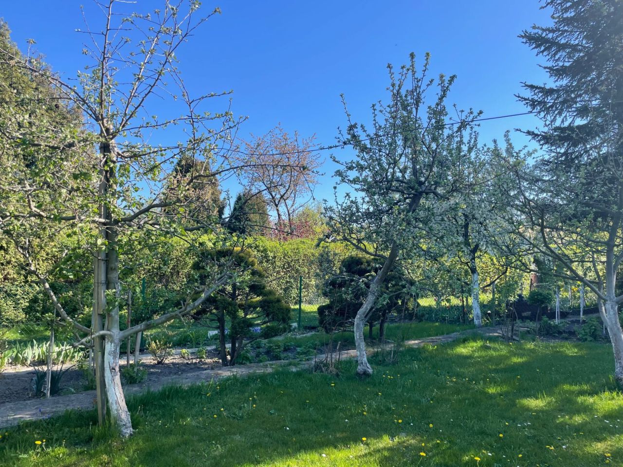 Działka rod Gliwice Śródmieście, ul. Nadrzeczna. Zdjęcie 2