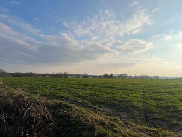 Działka budowlana Pietrzyków-Kolonia. Zdjęcie 1