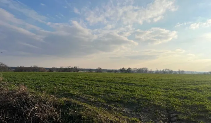 Działka budowlana Pietrzyków-Kolonia