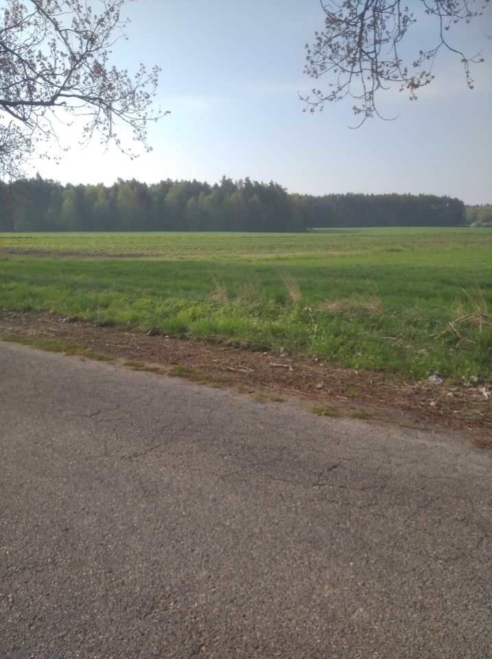 Działka budowlana Cierpięta. Zdjęcie 1