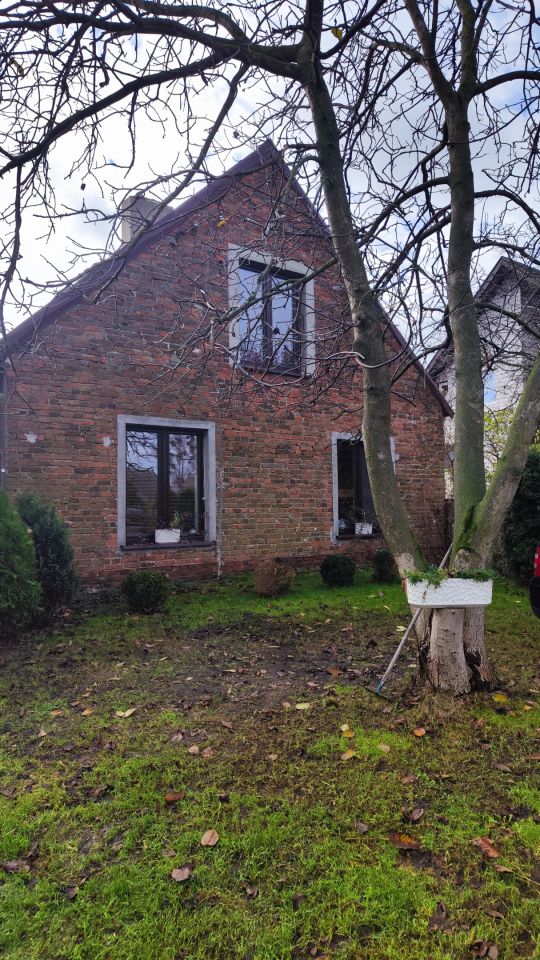 siedlisko, 6 pokoi Kwiatków. Zdjęcie 14