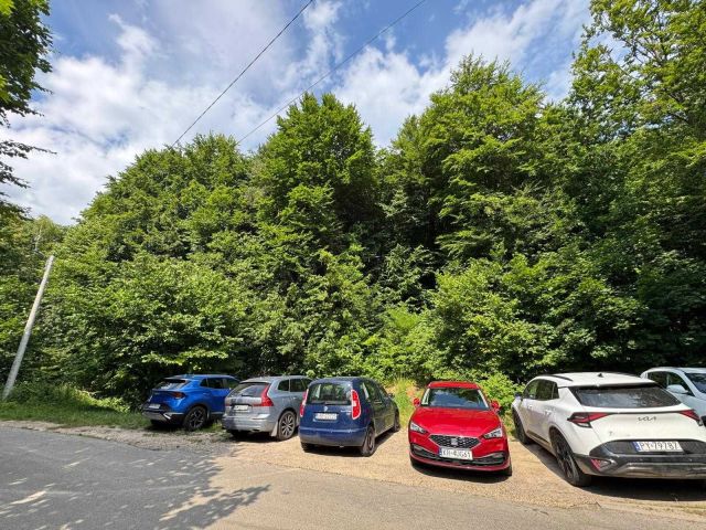 Działka leśna Jerzmanowice. Zdjęcie 1