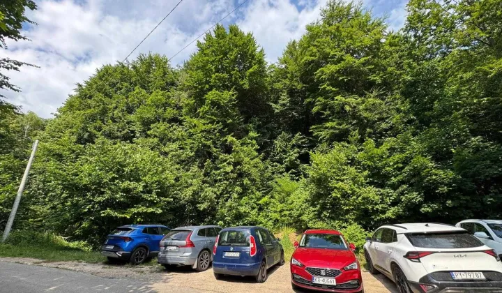 Działka leśna Jerzmanowice