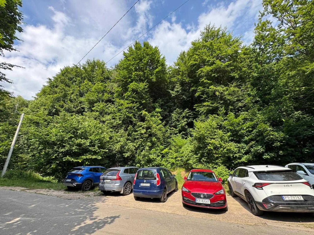 Działka leśna Jerzmanowice. Zdjęcie 1