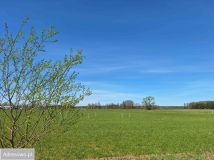 Działka rolno-budowlana Olszyny. Zdjęcie 1