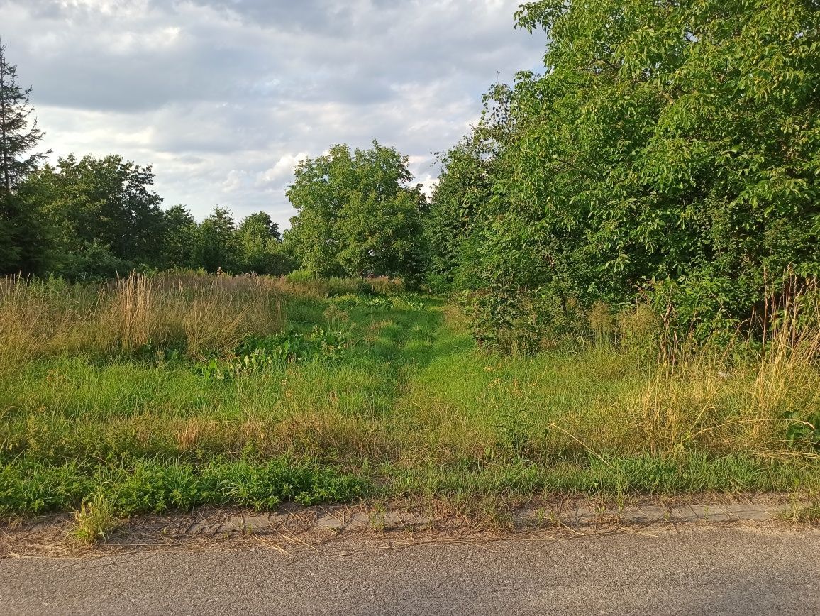 Działka budowlana Nowa Słupia, ul. dr. Łuszcza. Zdjęcie 6