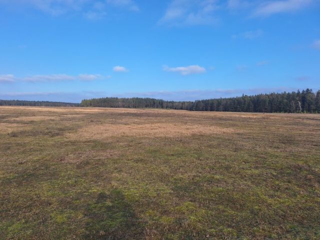 Działka budowlana Danowskie. Zdjęcie 1