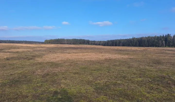 Działka budowlana Danowskie