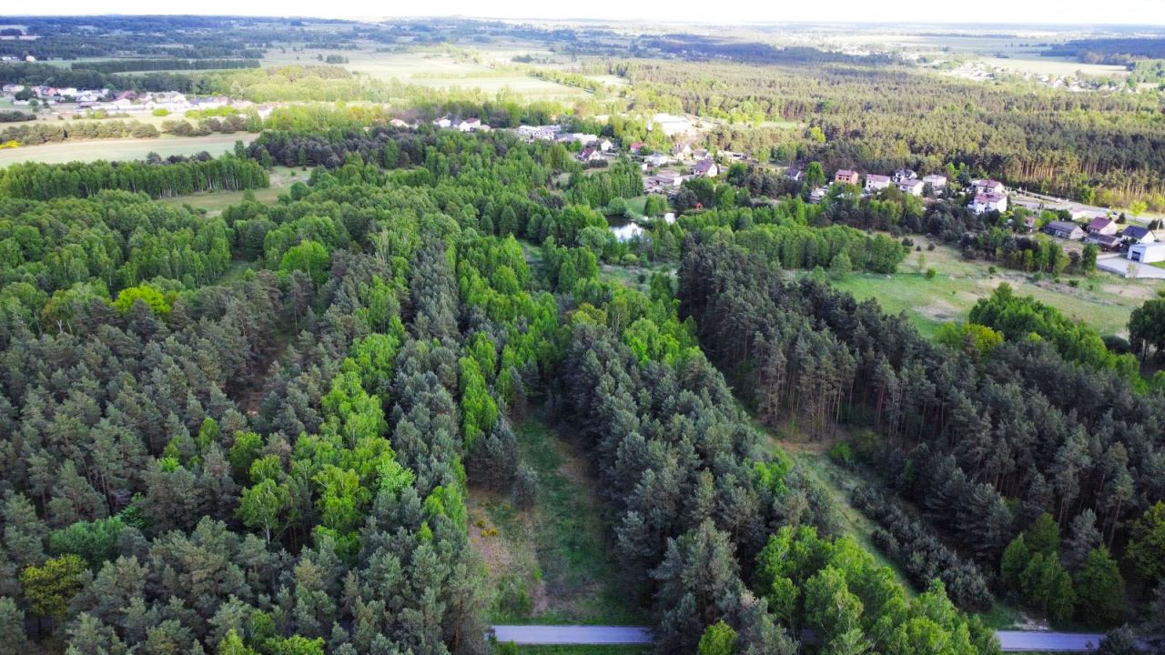 Działka budowlana Panki. Zdjęcie 2