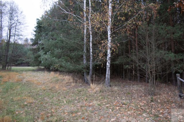 Działka Majdan Sieniawski. Zdjęcie 7