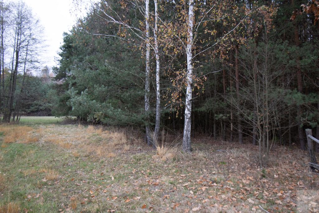 Działka Majdan Sieniawski. Zdjęcie 7