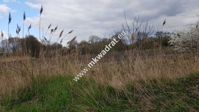 Działka budowlana Leszno. Zdjęcie 1