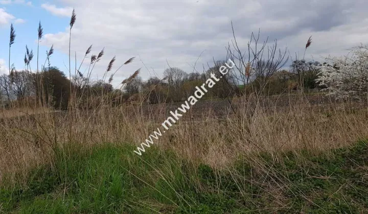 Działka budowlana Leszno