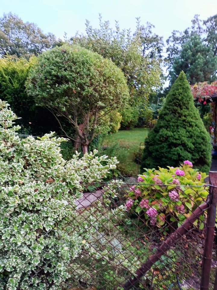 Działka rod Wrocław Stabłowice. Zdjęcie 5