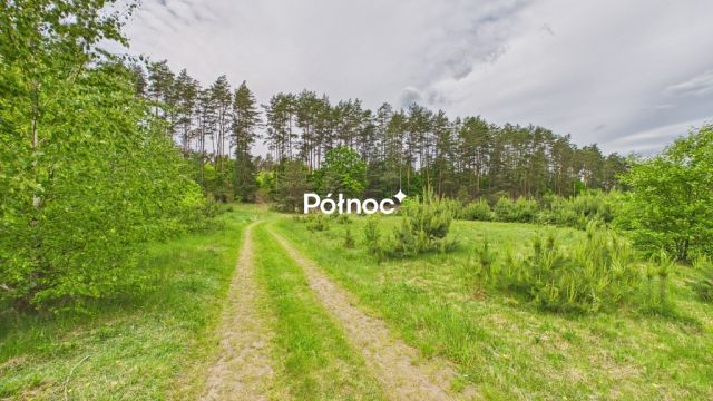 Działka budowlana Dobry Las. Zdjęcie 11